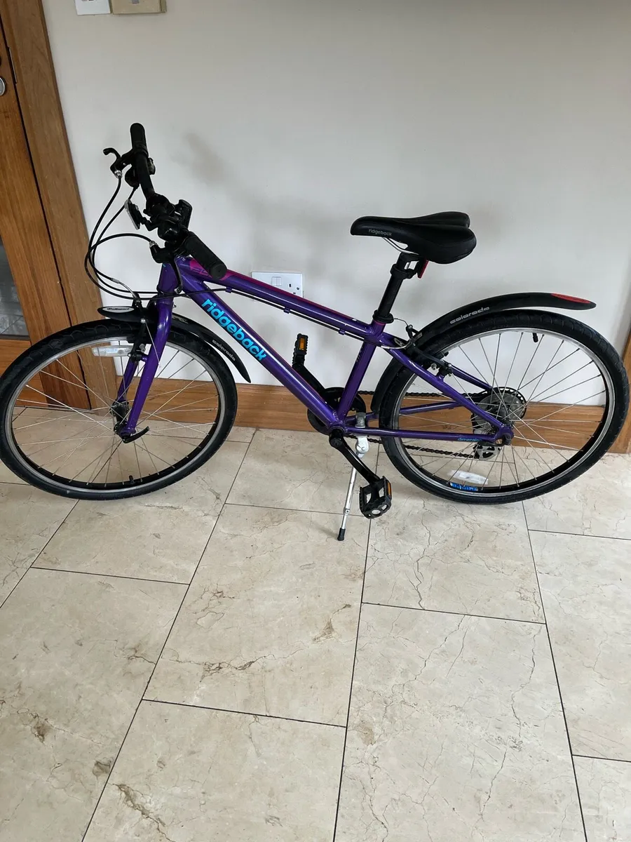 Girls Ridgeback 24 inch - Image 2