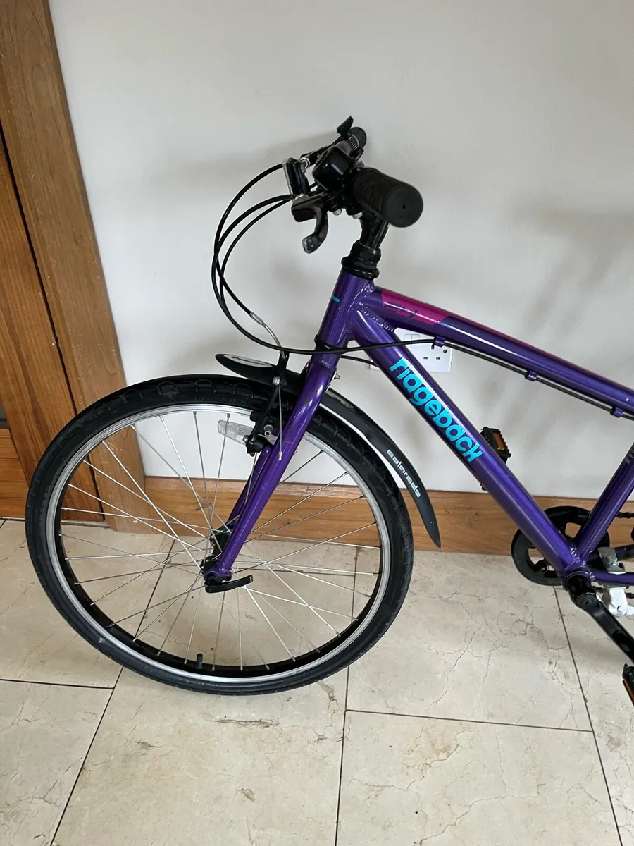 Girls Ridgeback 24 inch - Image 3