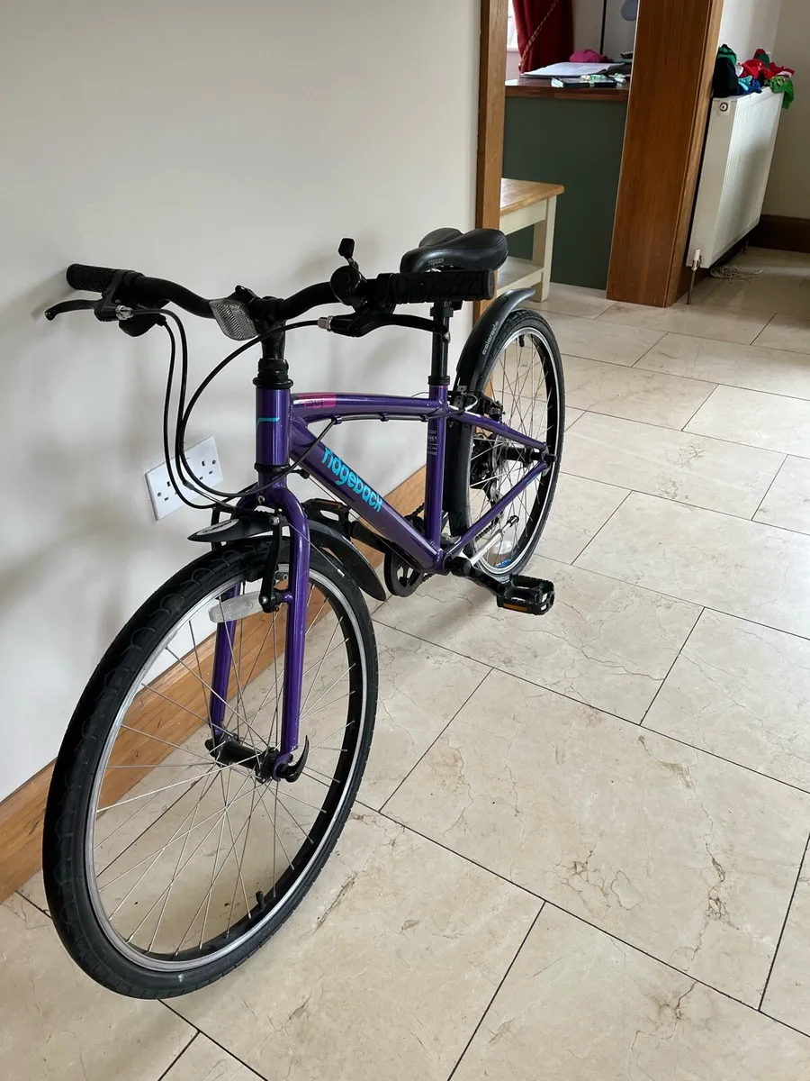 Girls Ridgeback 24 inch - Image 4