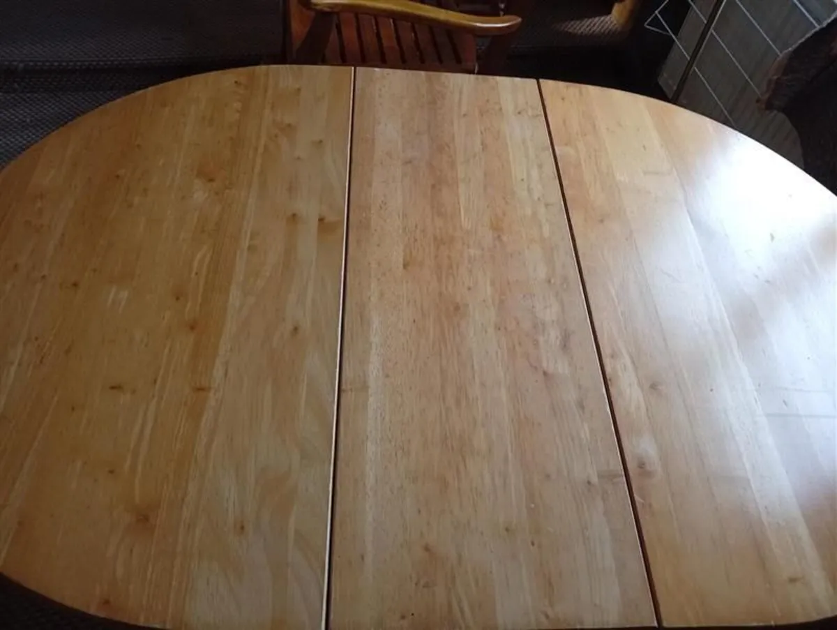 Folding Table and chairs - Image 1