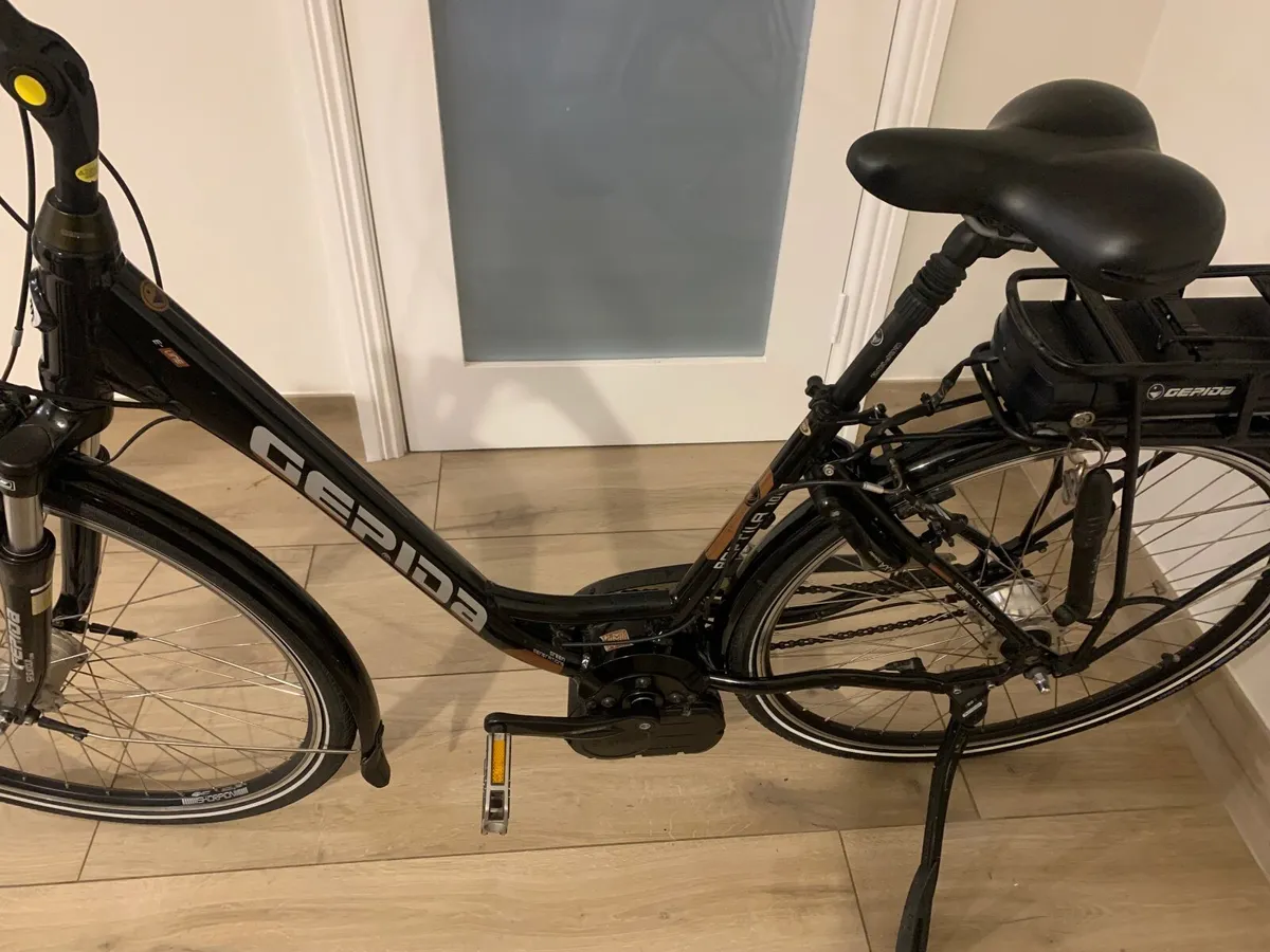 Electric Bicycle - Image 4