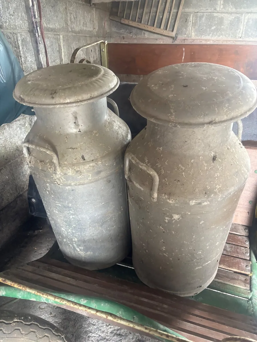 Horse Cart and Churns - Image 2