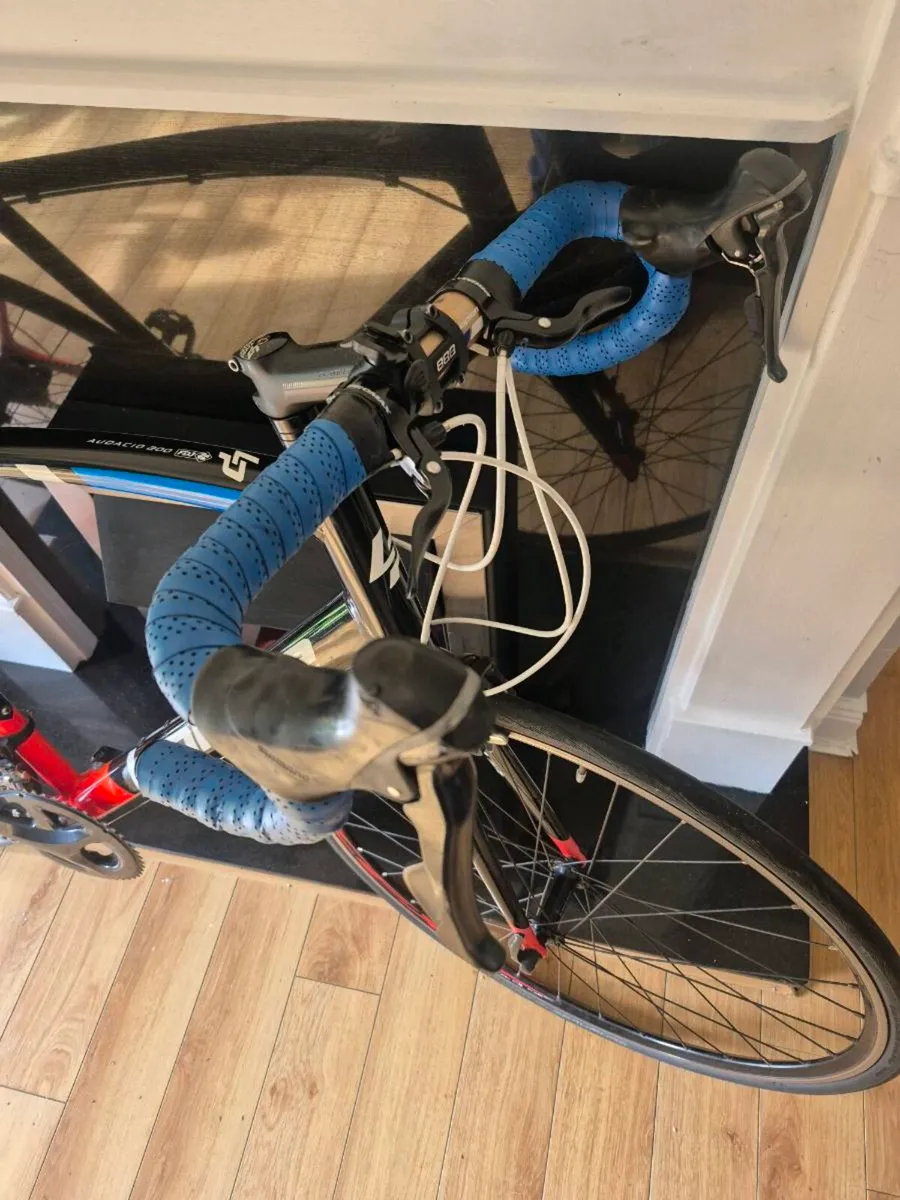 Lapierre audaci - Image 2