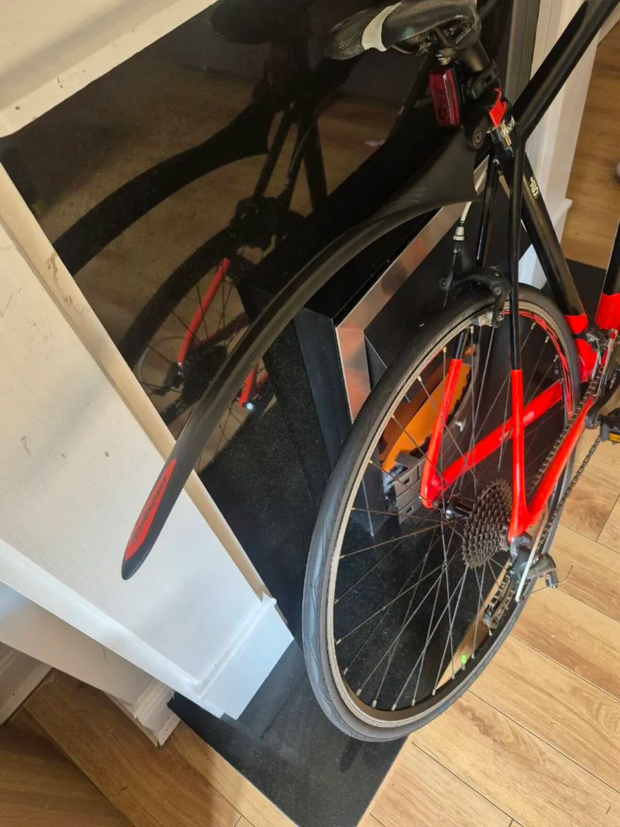 Lapierre audaci - Image 4