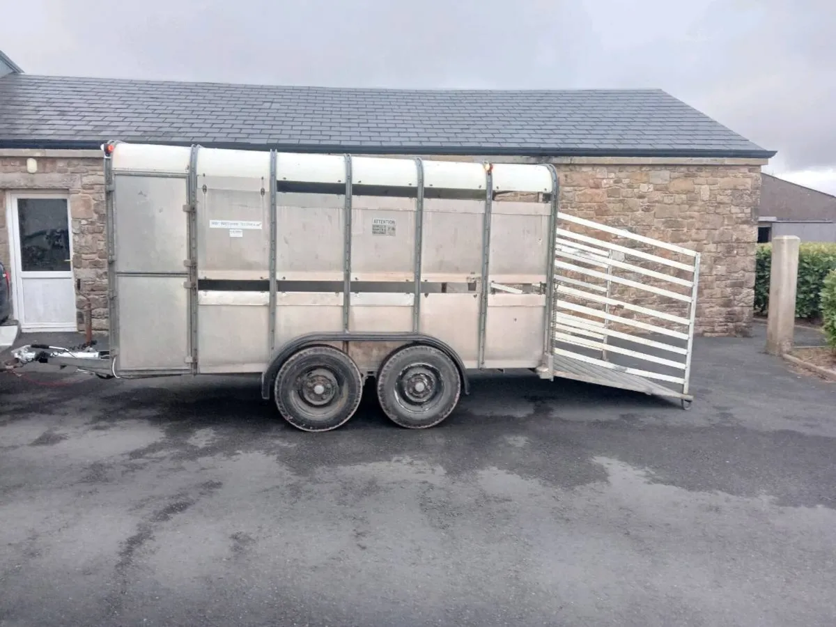 12×6 Ifor William's  Cattle Trailer For Sale - Image 4