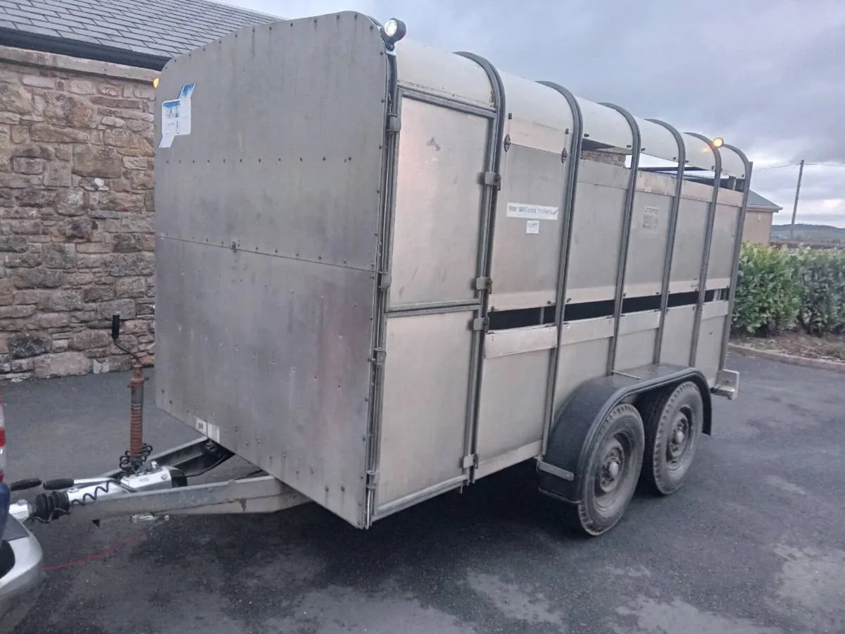 12×6 Ifor William's  Cattle Trailer For Sale - Image 1