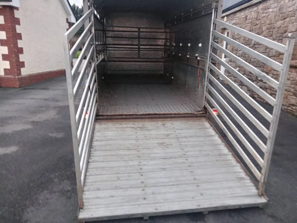 12×6 Ifor William's  Cattle Trailer For Sale - Image 2