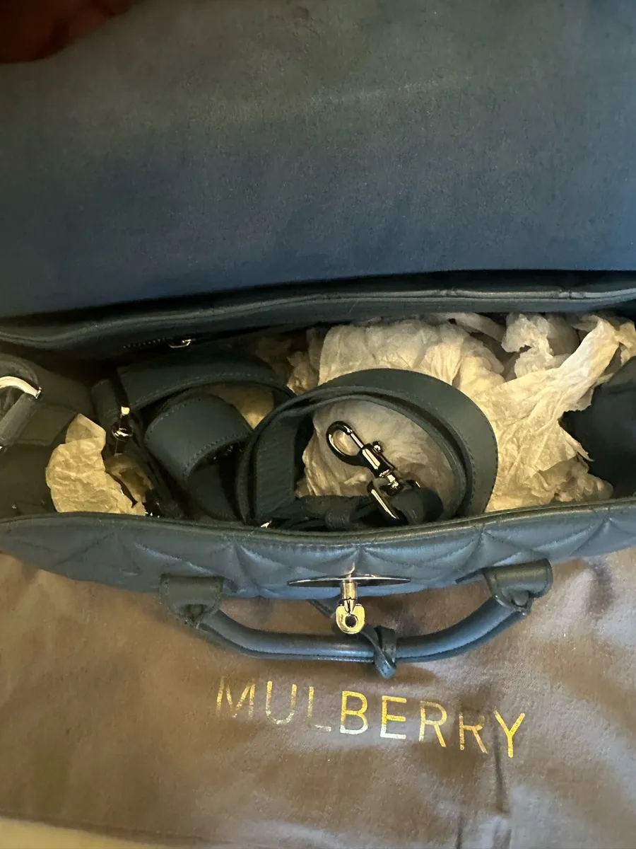 Mulberry Packpack - Image 4