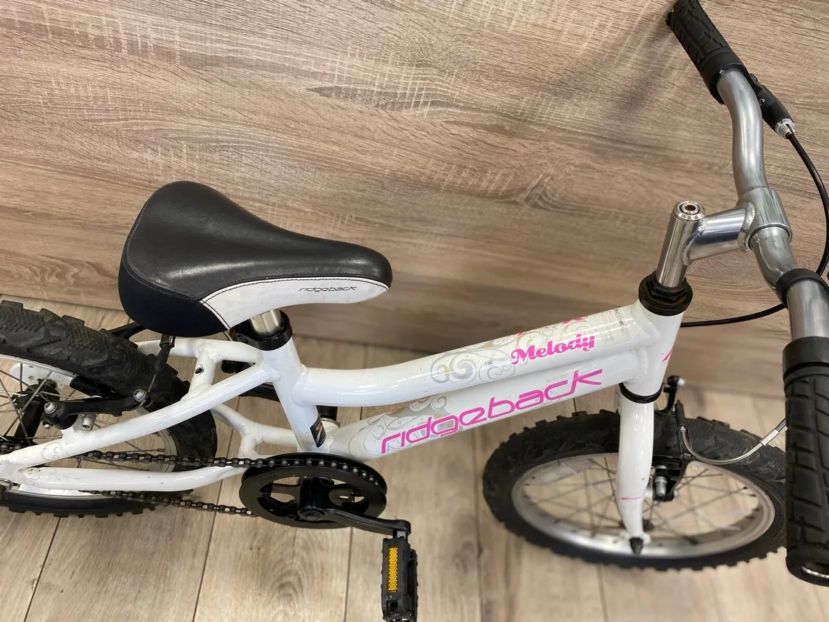 Ridgeback melody - Image 3