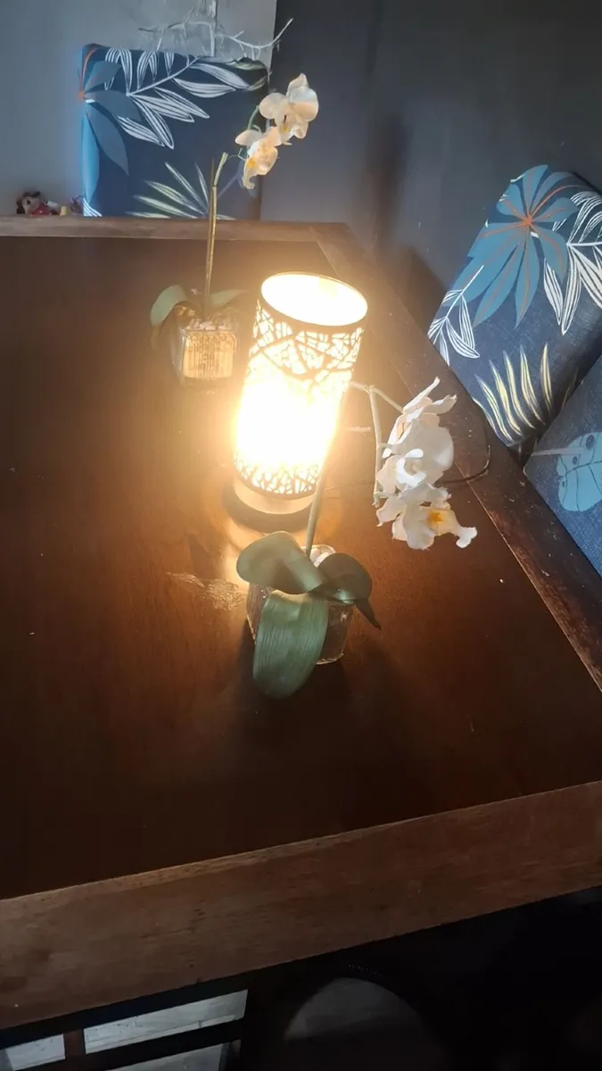 Kickent table and 6 chairs pure soild wood - Image 3