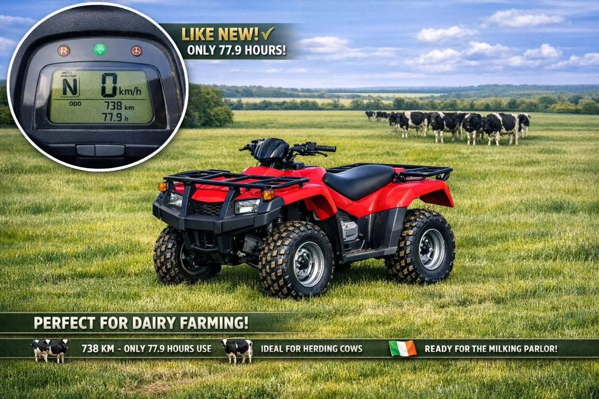 Honda Quad 250 F/E Fourtrax - Image 1