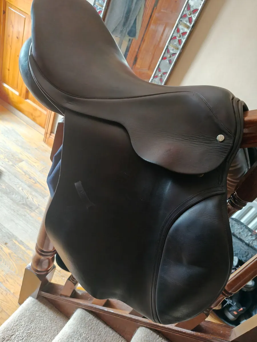 18 Inch Berney Bros Jumping saddle - Image 2
