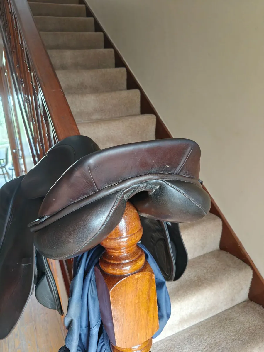 18 Inch Berney Bros Jumping saddle - Image 4