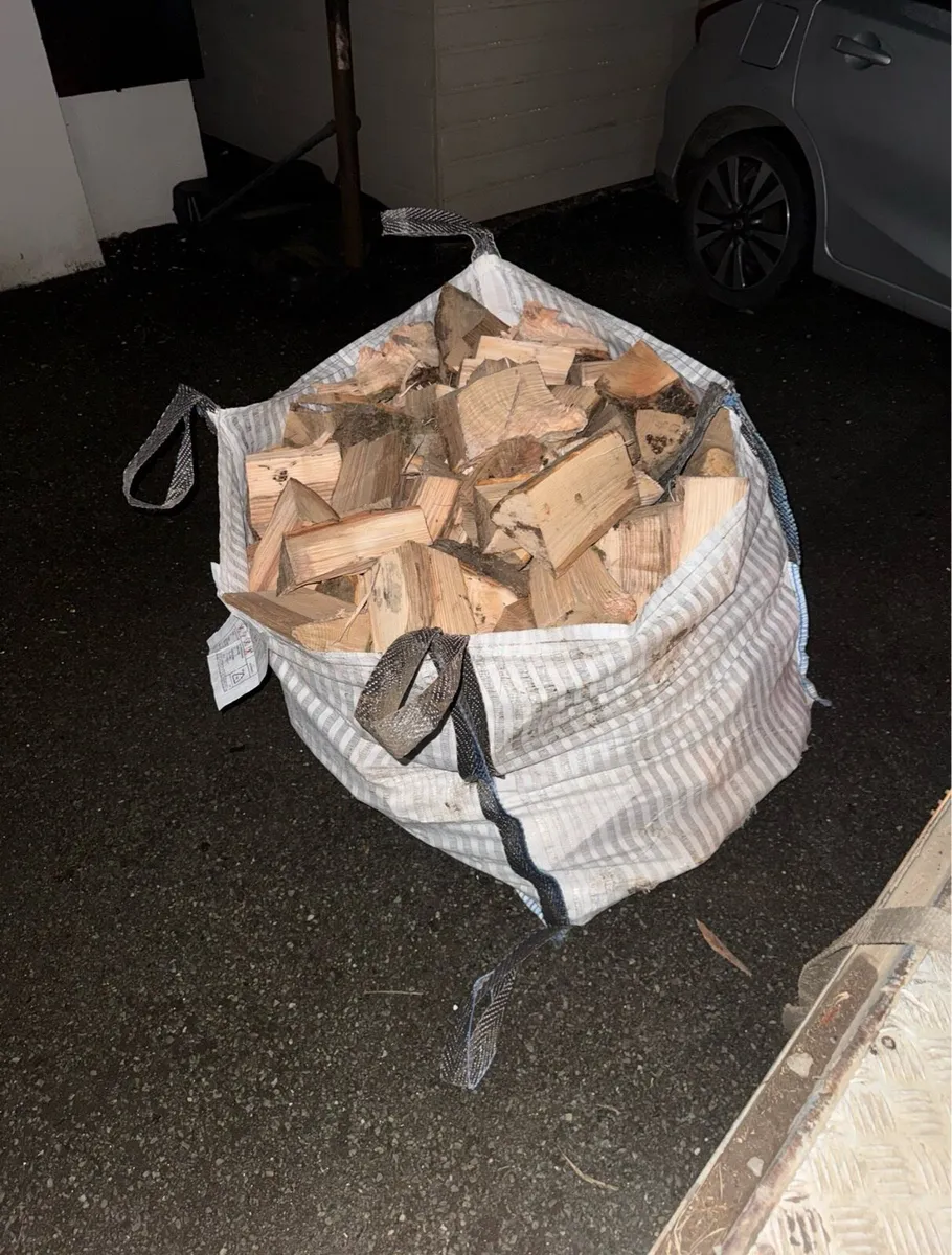Beech hardwood firewood - Image 3