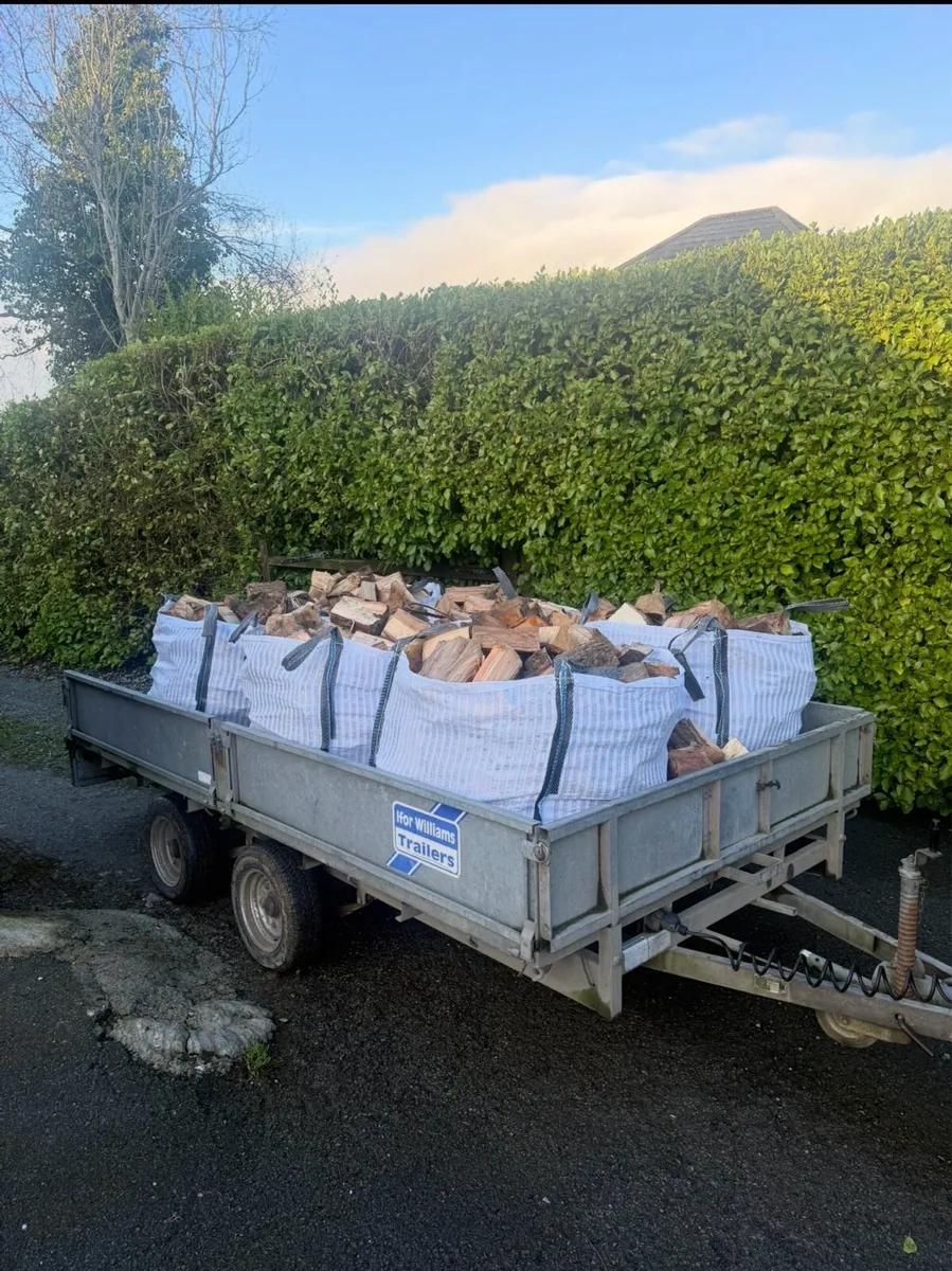 Beech hardwood firewood - Image 1