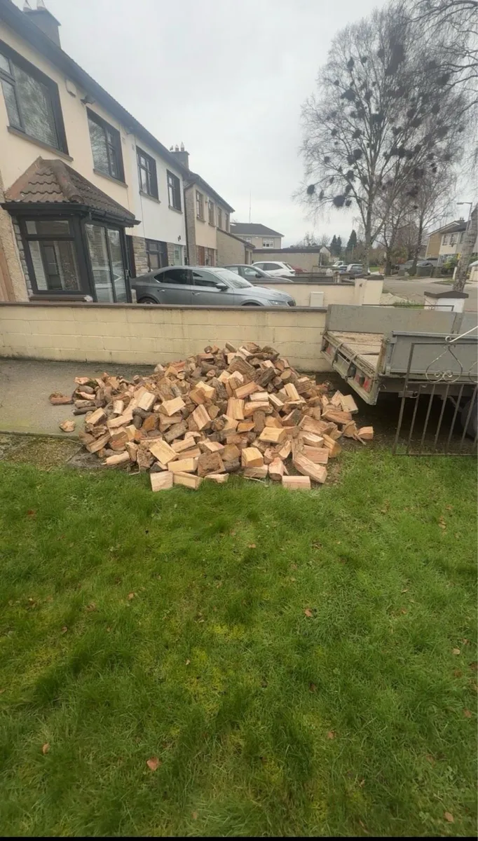Beech hardwood firewood - Image 2