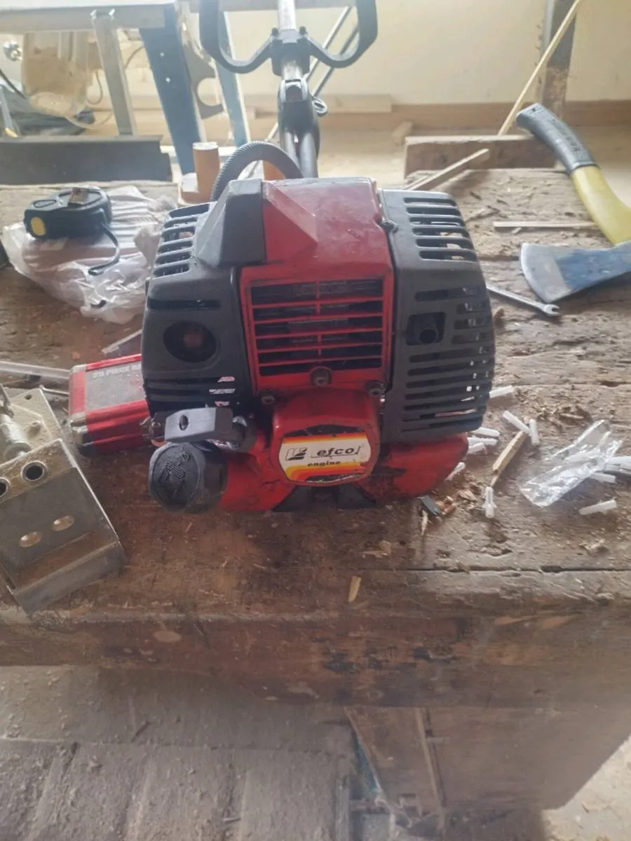 Strimmers & Hedge trimmer - Image 3