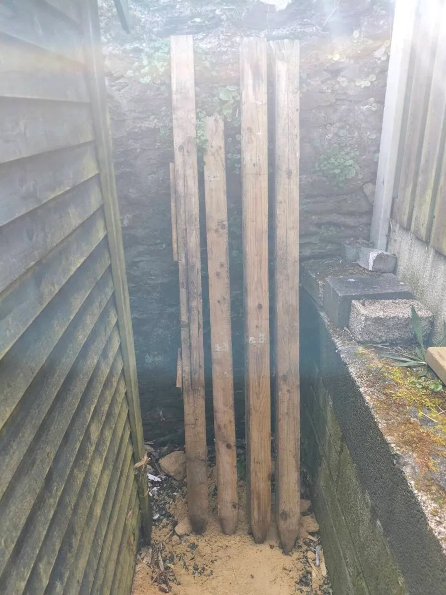 Wood fence posts - Image 2