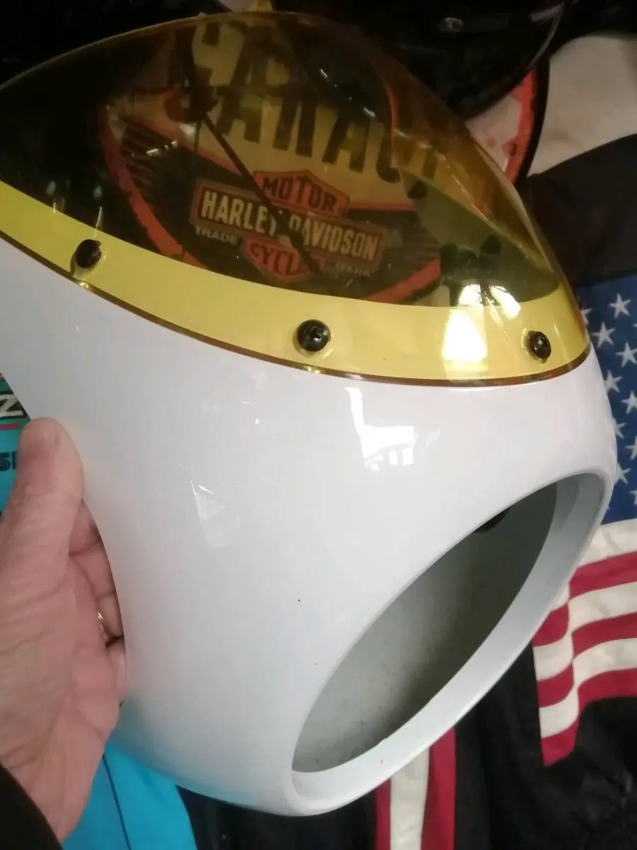 Headlight fairing - Image 1