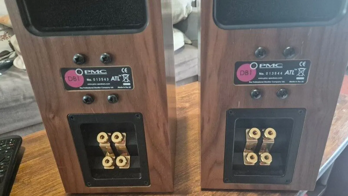 PMC DB1S and Monitor Audio RSW 12 - Image 3