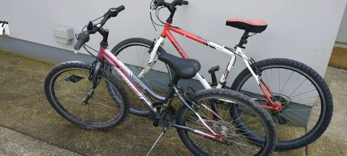 Boys + Girls Bike