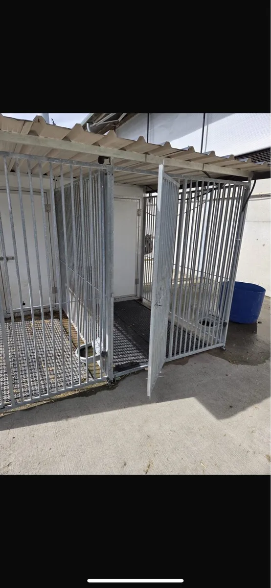 Dog kennel for sale - Image 4