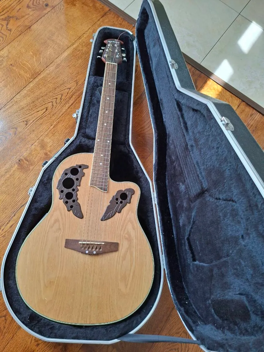 Semi Acoustic Guitar Gator hard case - Image 2