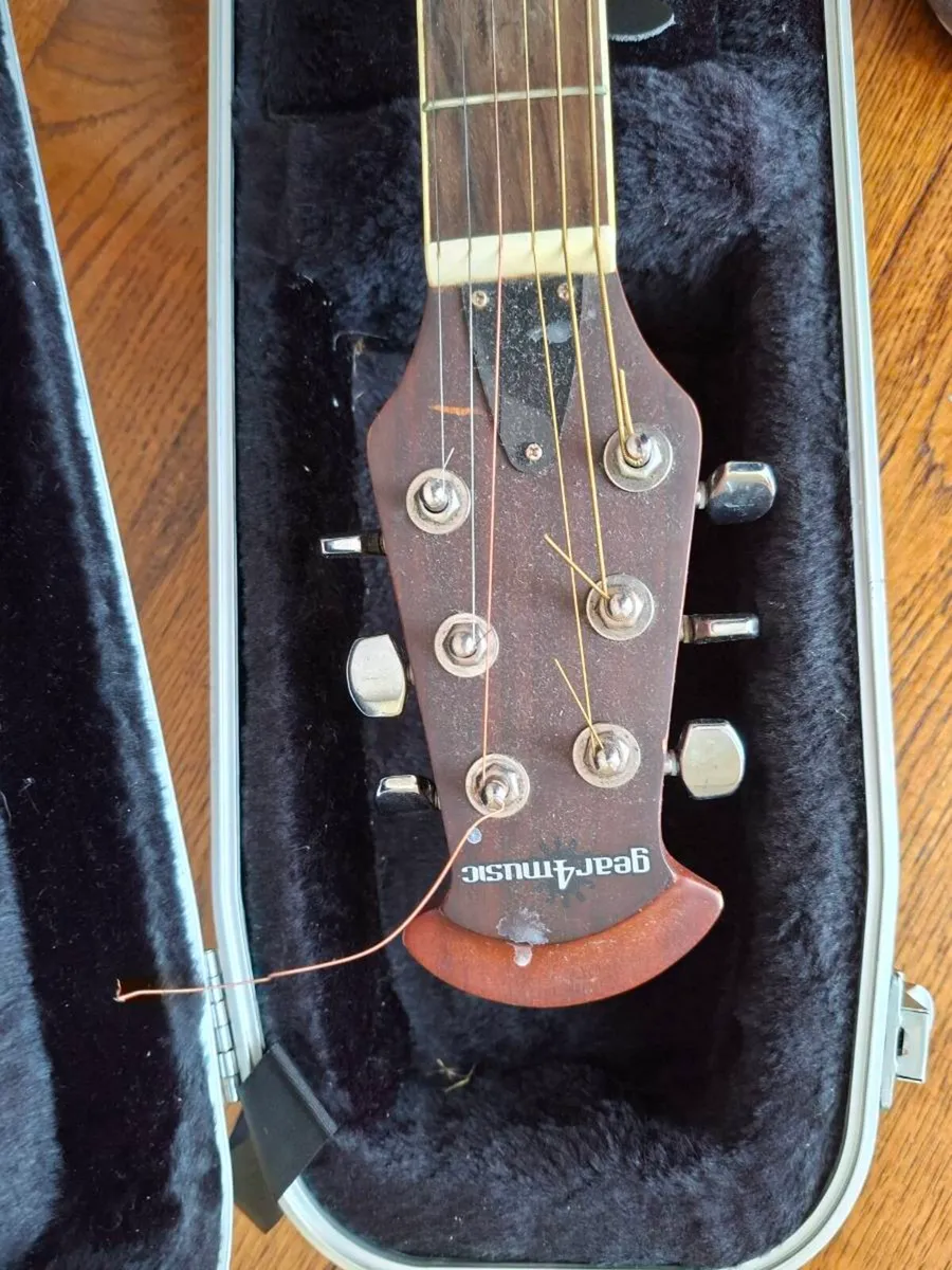 Semi Acoustic Guitar Gator hard case - Image 3