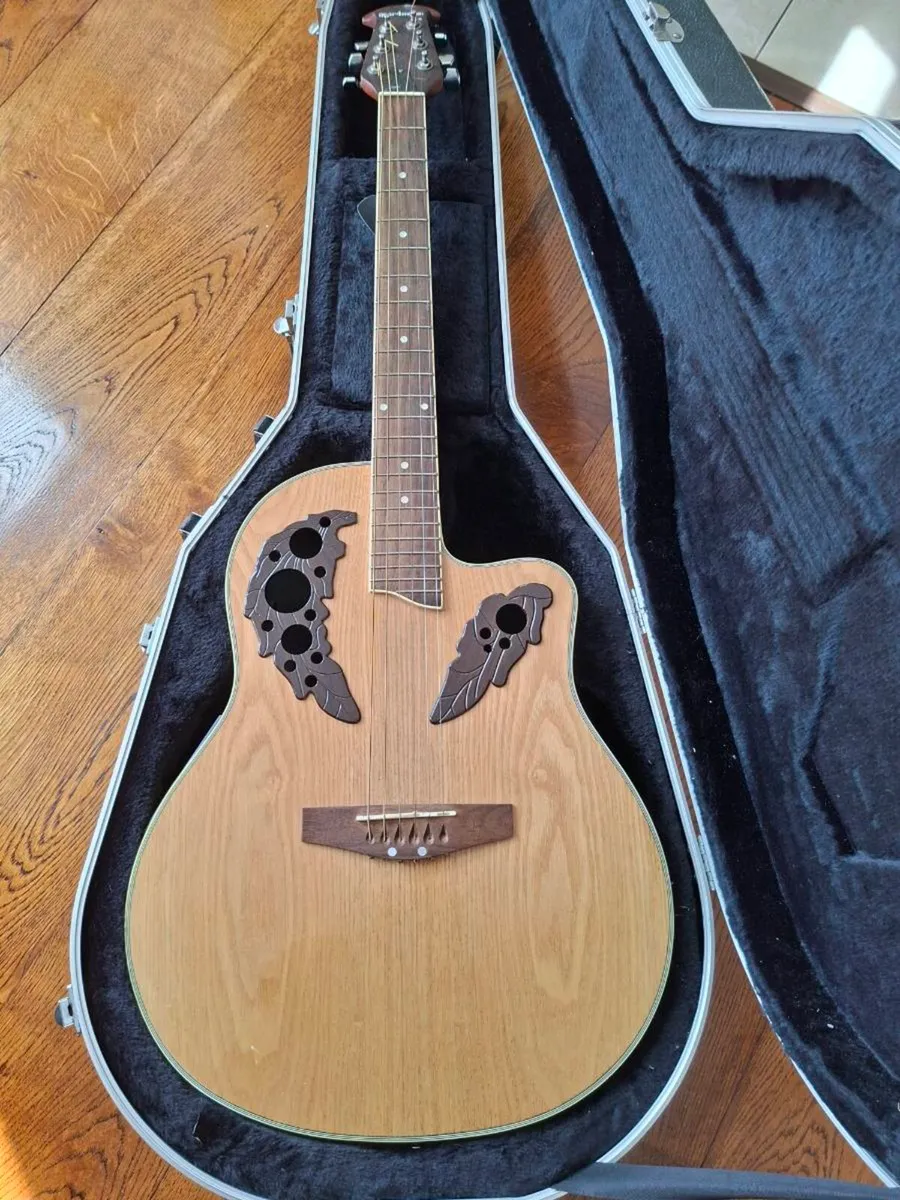 Semi Acoustic Guitar Gator hard case - Image 1