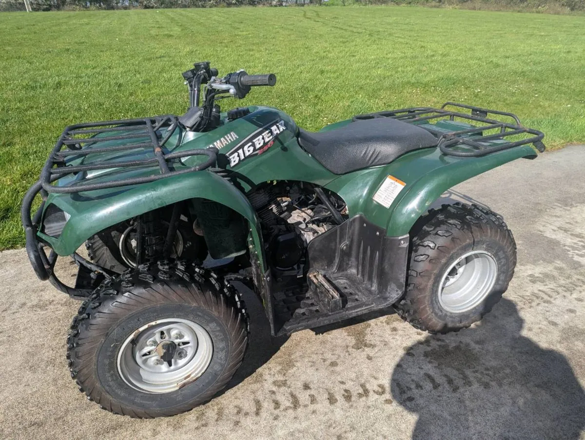 Yamaha Big Bear 250 - Image 2