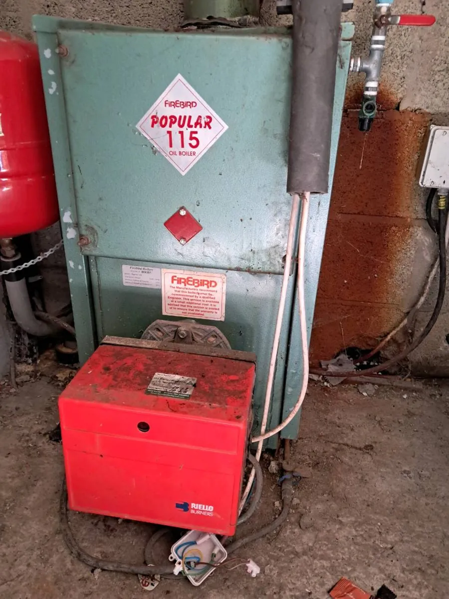 Firebird Heating Boiler - Image 1