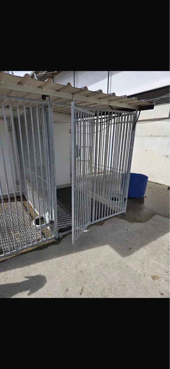 Dog kennel for sale - Image 4