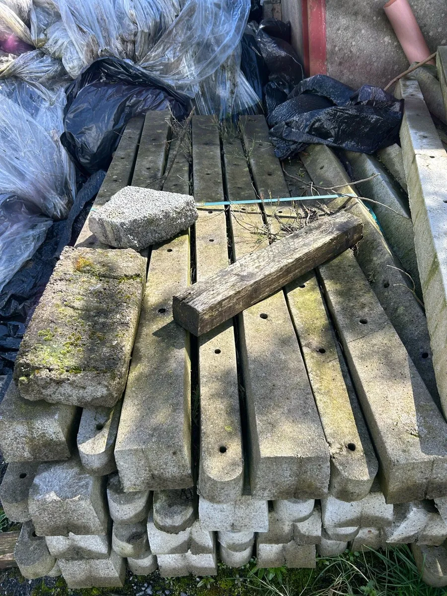 Concrete posts - Image 1