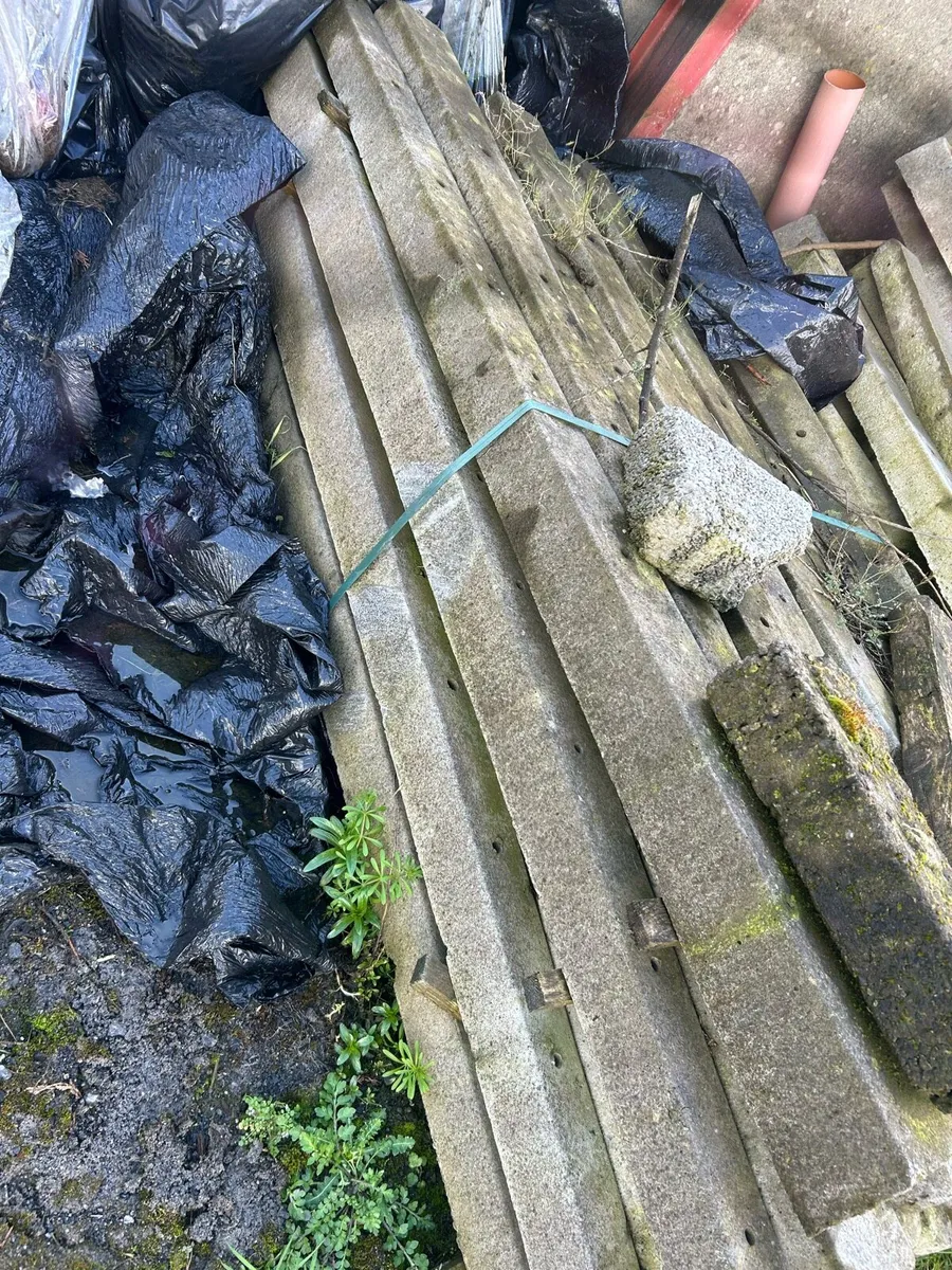 Concrete posts - Image 2