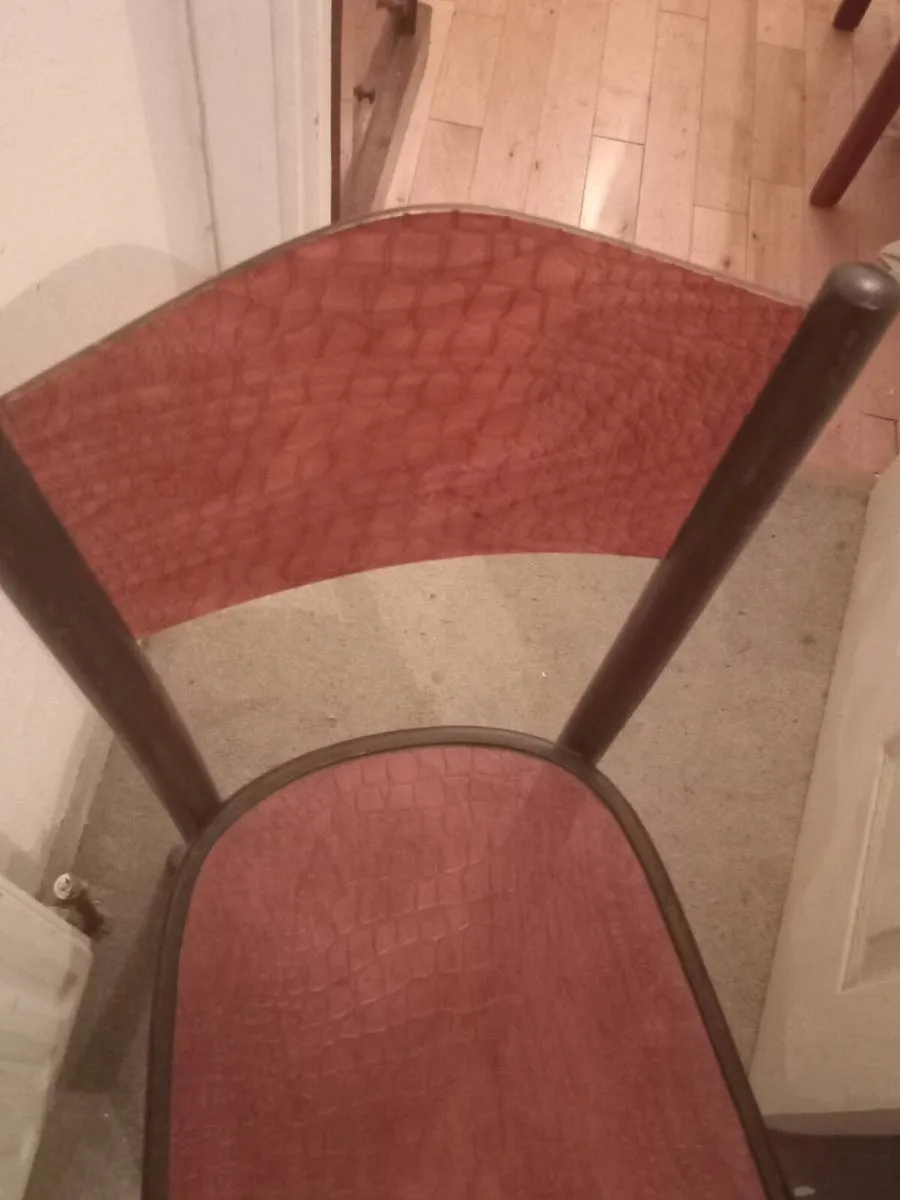 fischel crocodile chair - Image 4