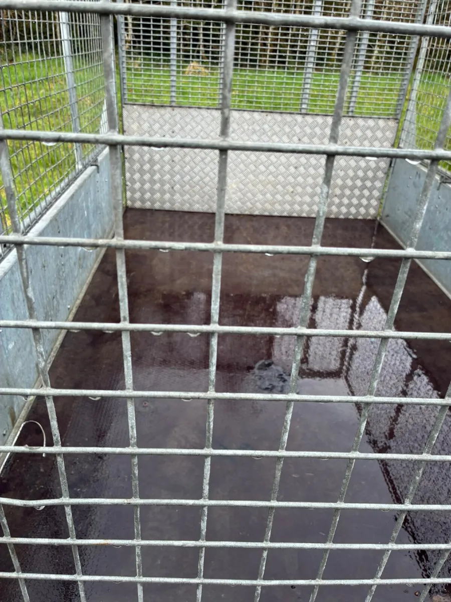 Ivor Williams Trailer - Image 2