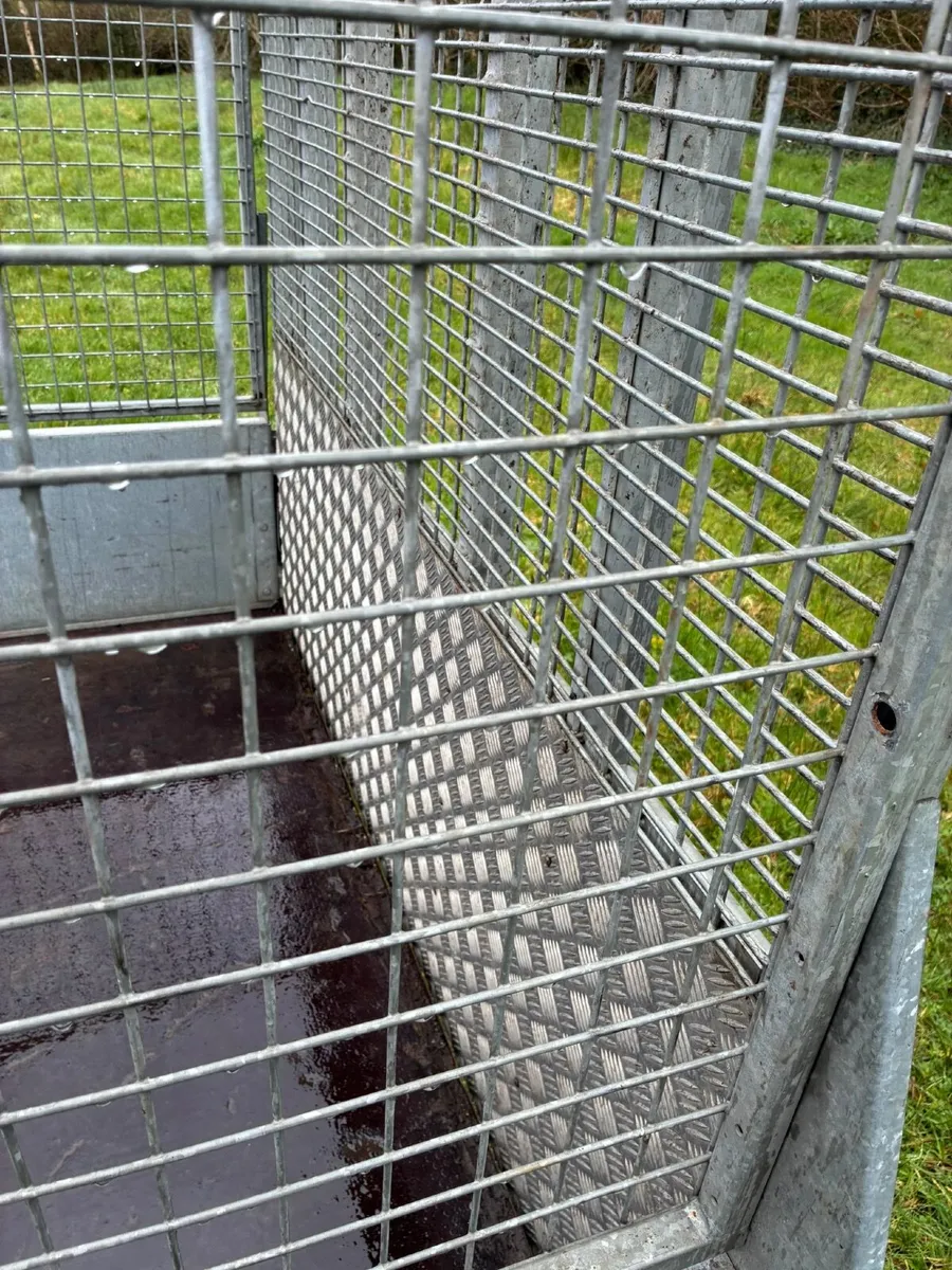 Ivor Williams Trailer - Image 4