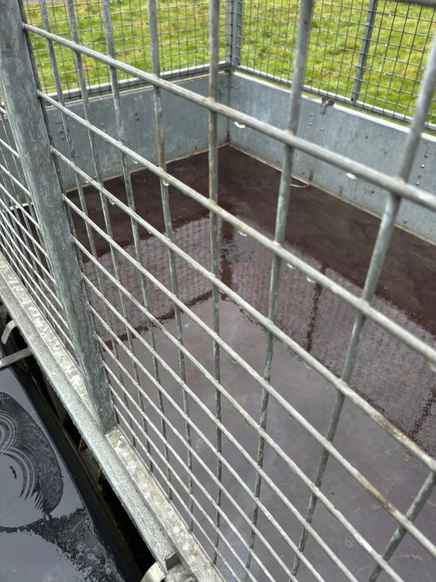 Ivor Williams Trailer - Image 3