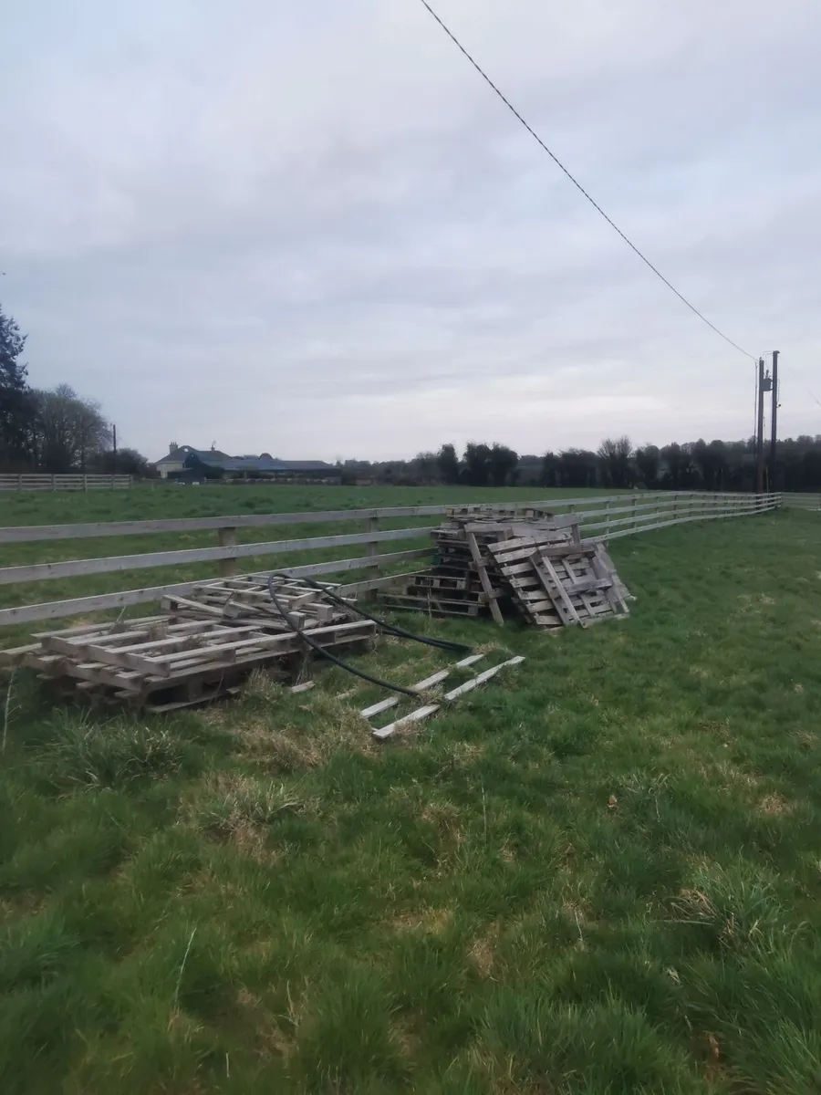 Free Timber - Image 1