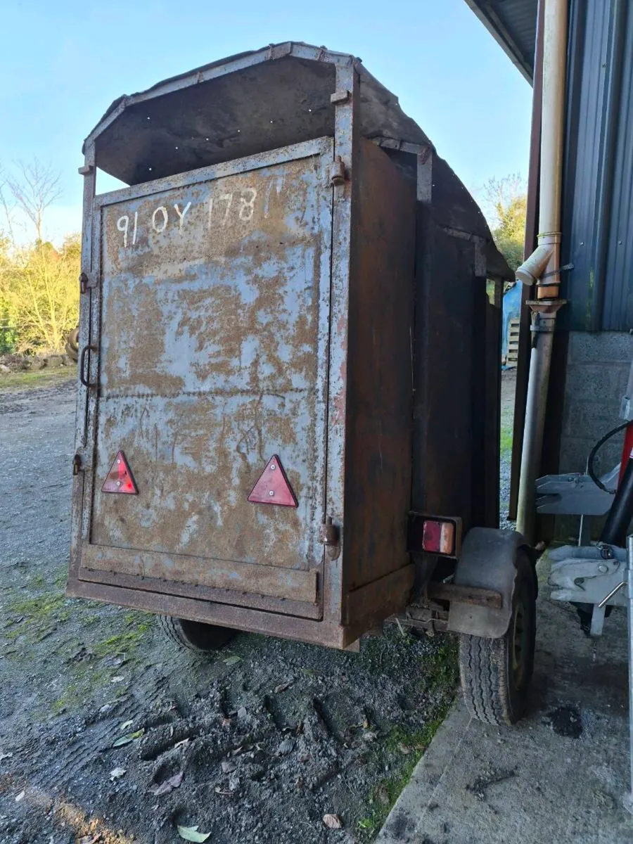 Calf trailer - Image 3