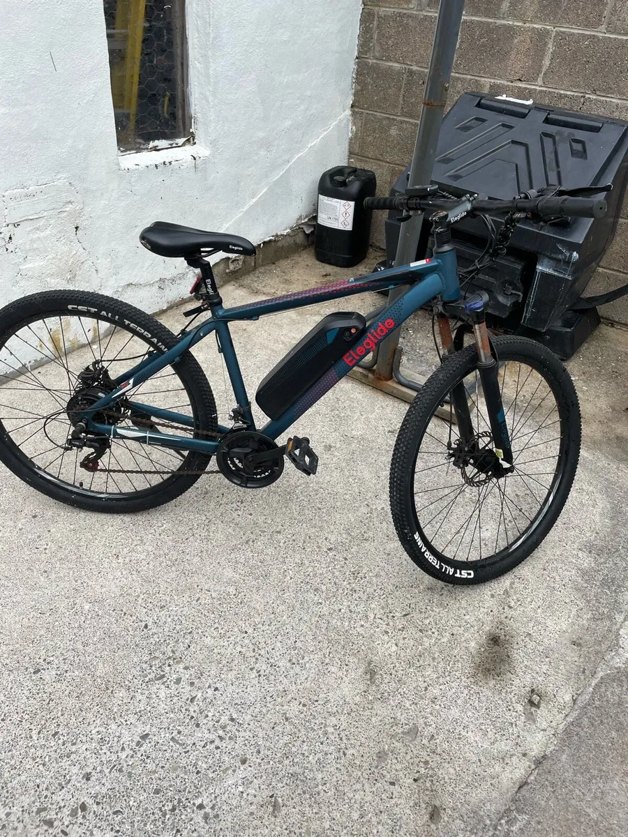 Electric bike - Image 2