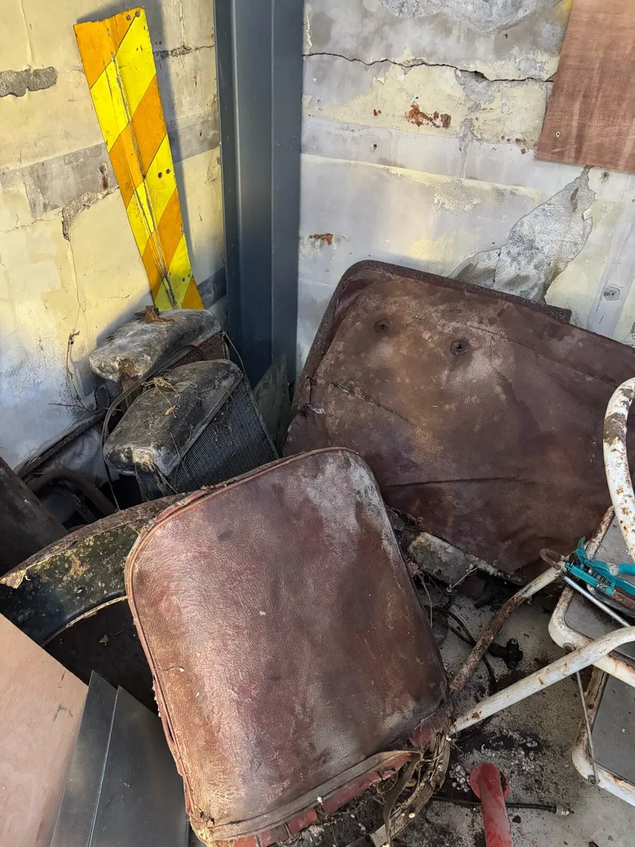 Ford Angila - Image 3