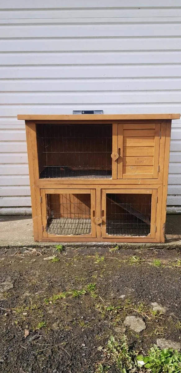 Purebred Mini lop Bunnies/rabbits and cages - Image 3