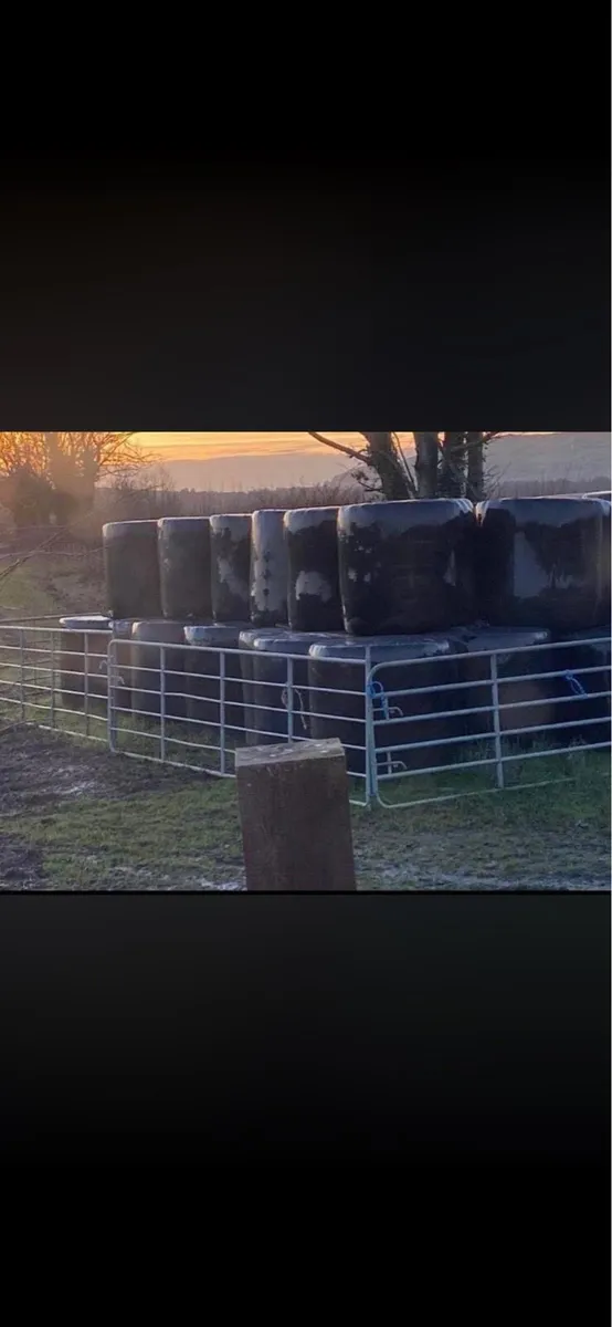 Whole cropped wrapped barley straw