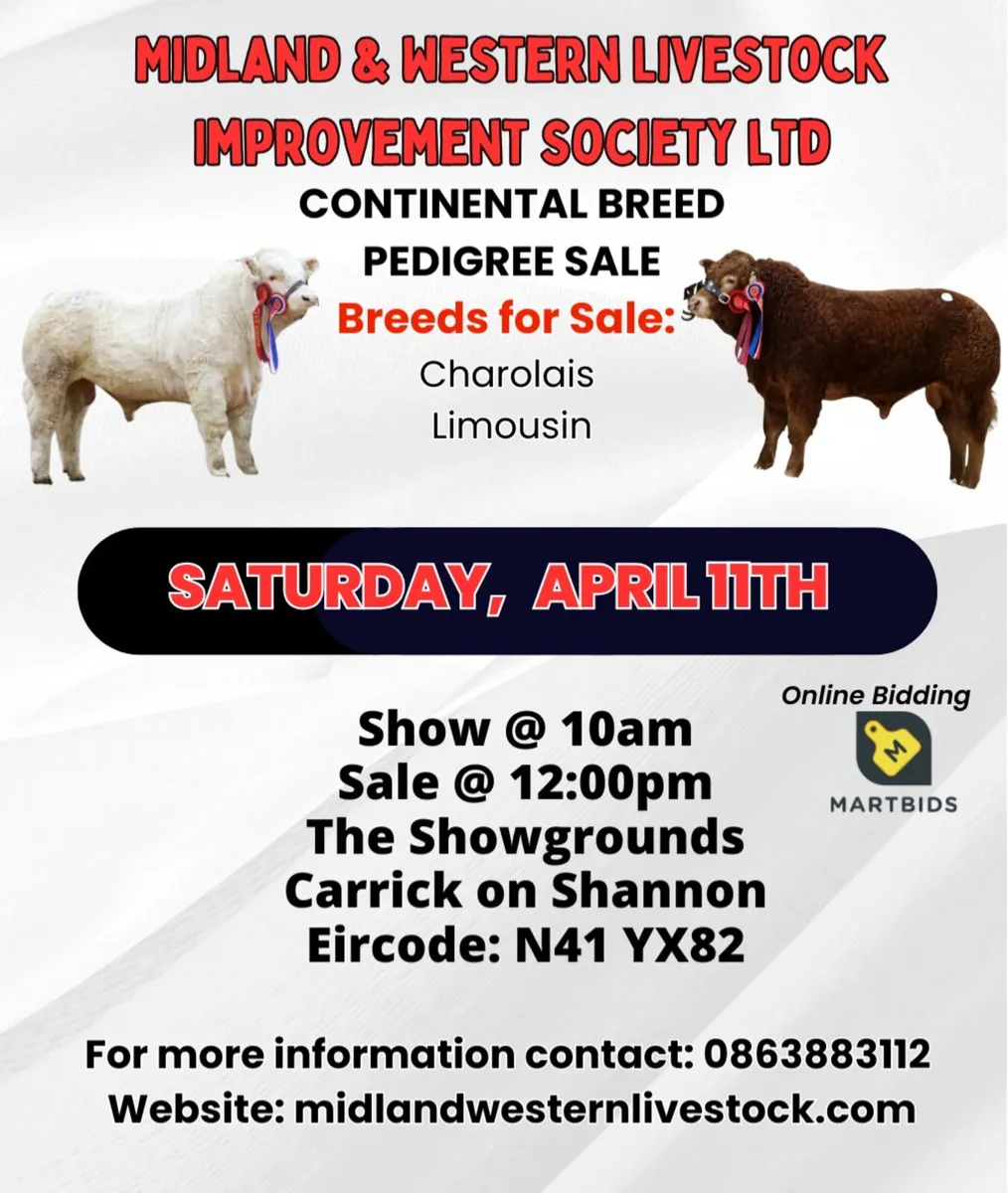 ⭐️Midland and Western Pedigree Sale 11th April⭐️ - Image 1