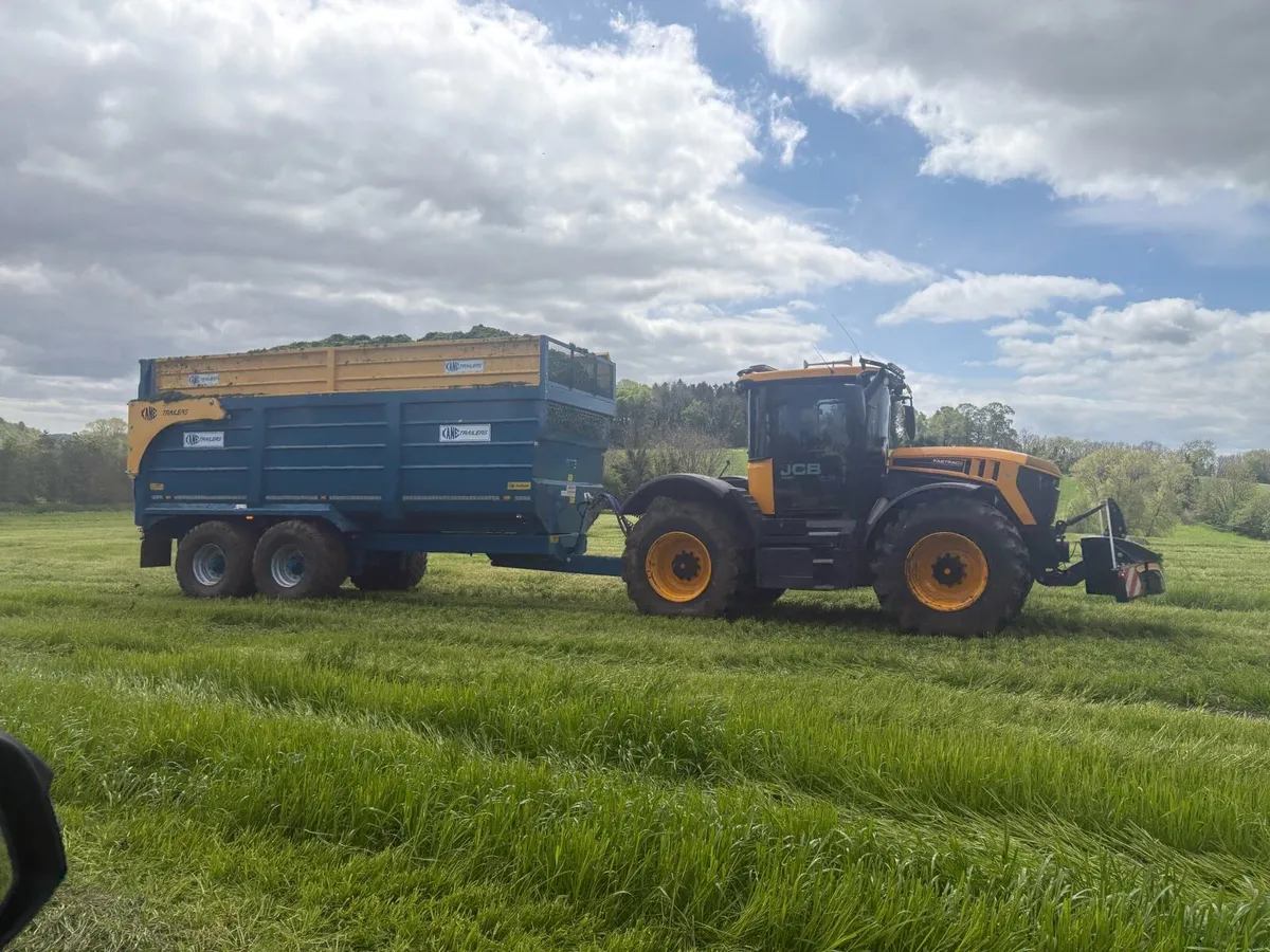 High energy grass silage - Image 4
