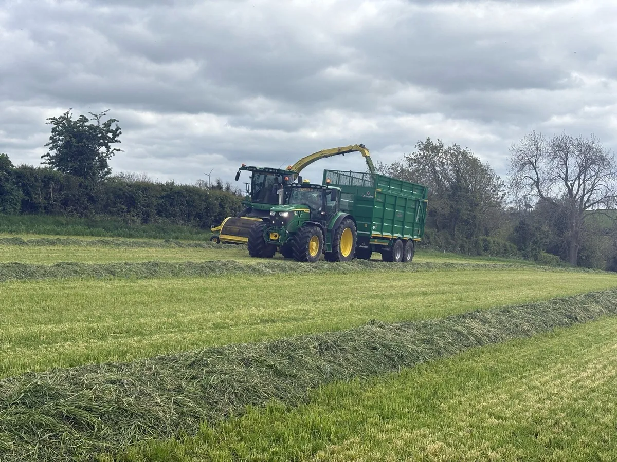 High energy grass silage - Image 2