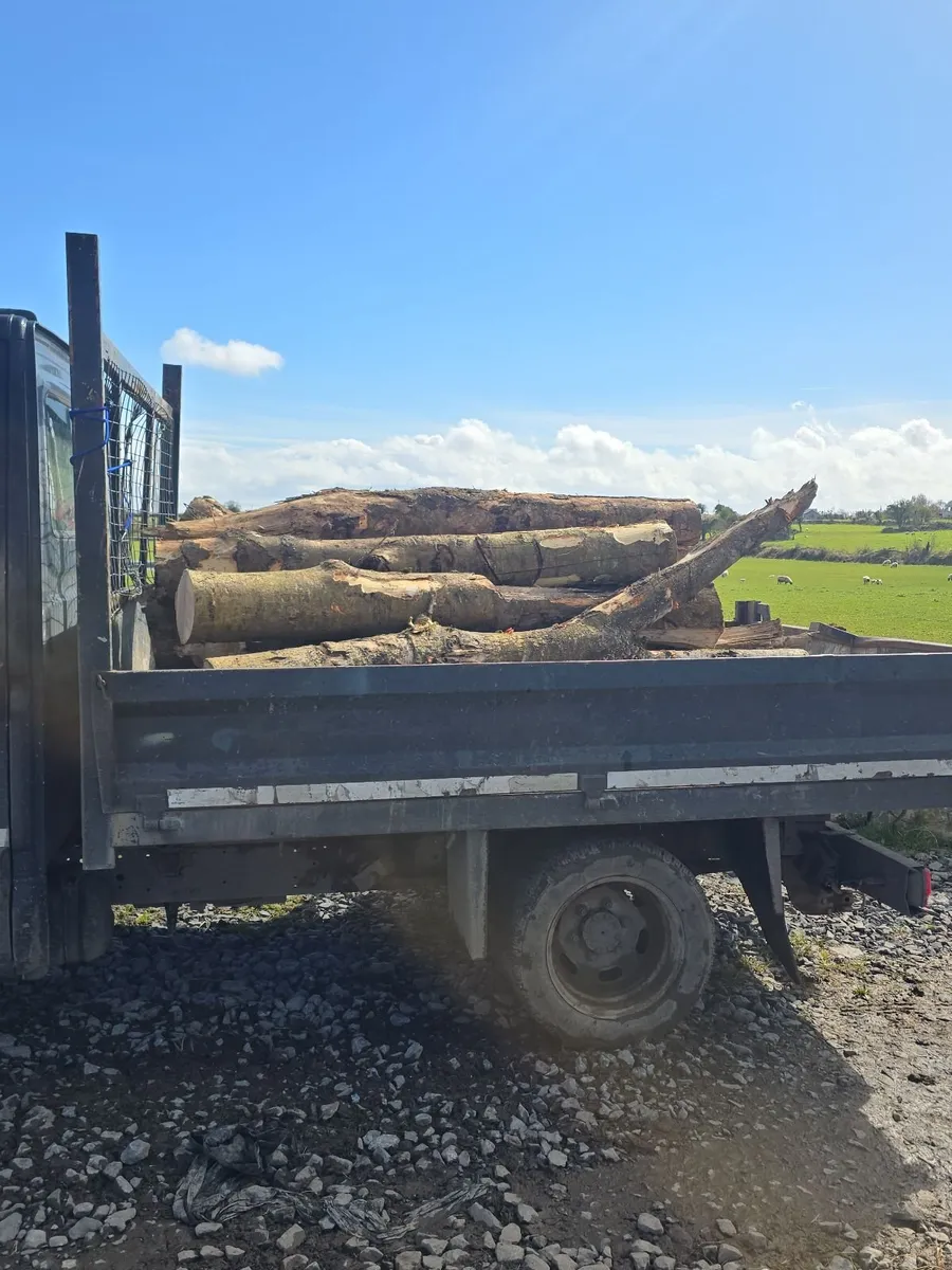 Lenths ash firewood 🔥 - Image 1