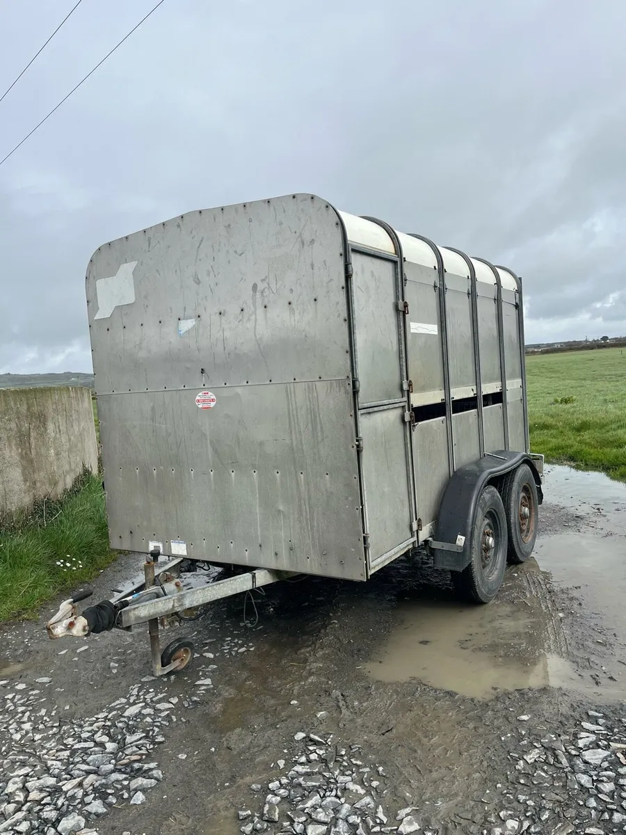 Ifor Williams 10x6 - Image 1