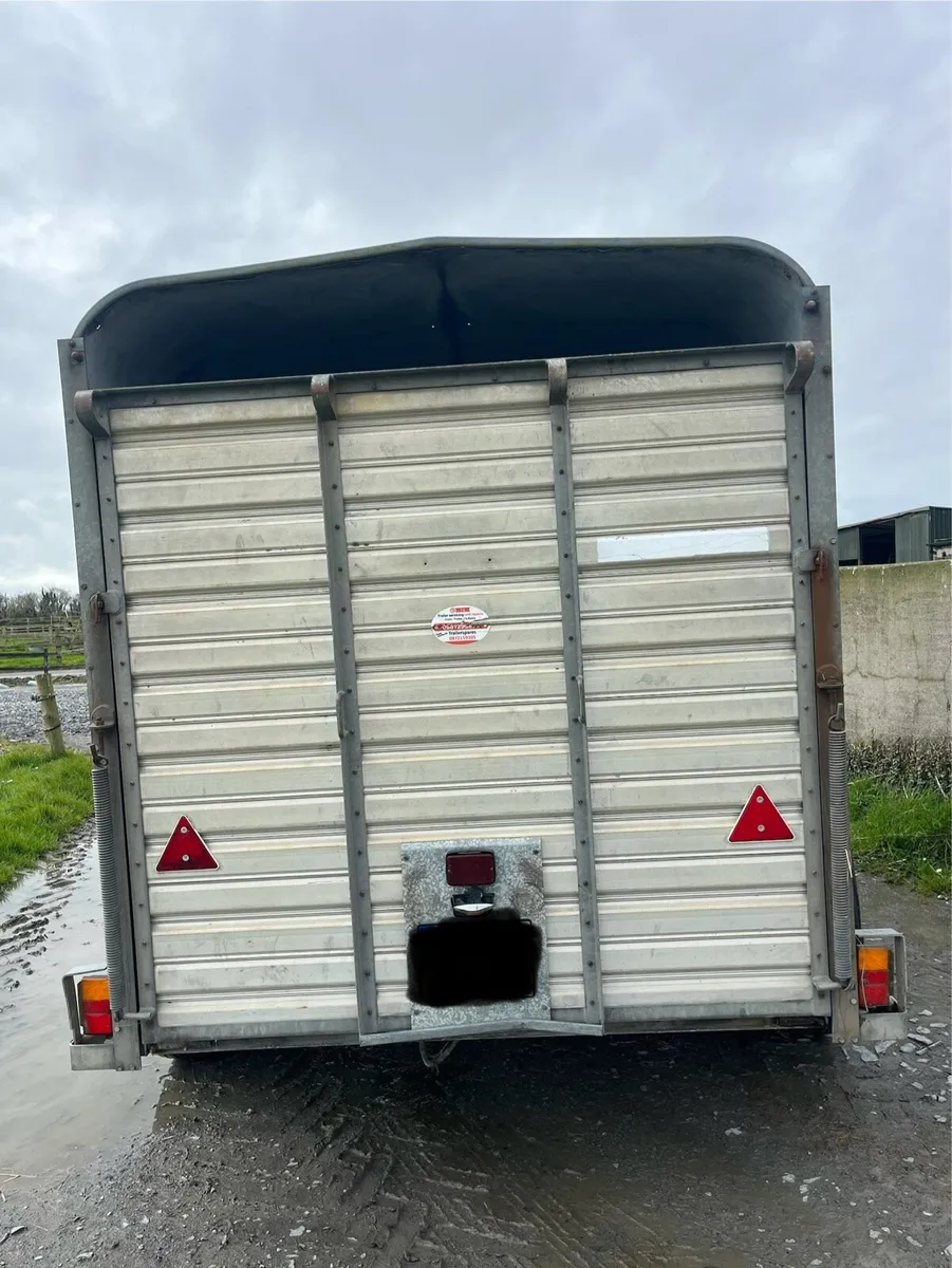 Ifor Williams 10x6 - Image 3